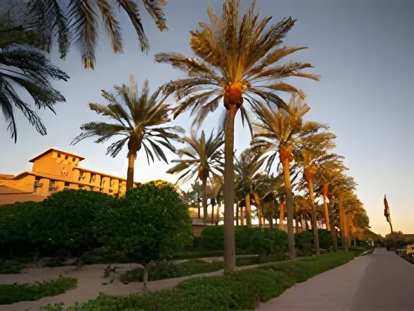 Business broker serving the Paradise Valley Resort Corridor