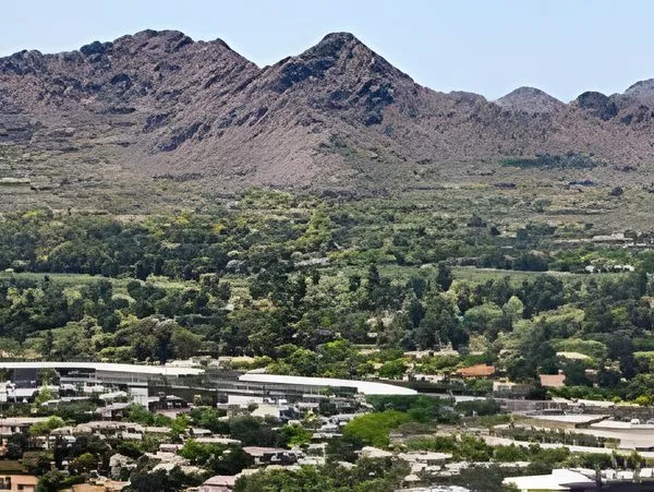 Business broker serving the Camelback Mountain and McDonald Drive area in Paradise Valley