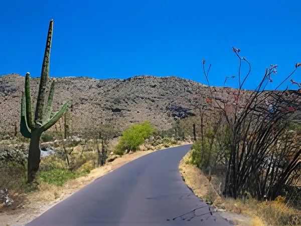 Business broker serving the Lincoln Drive Corridor in Paradise Valley