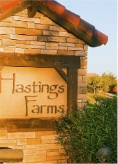 Business Broker For Companies in Sun City Grand